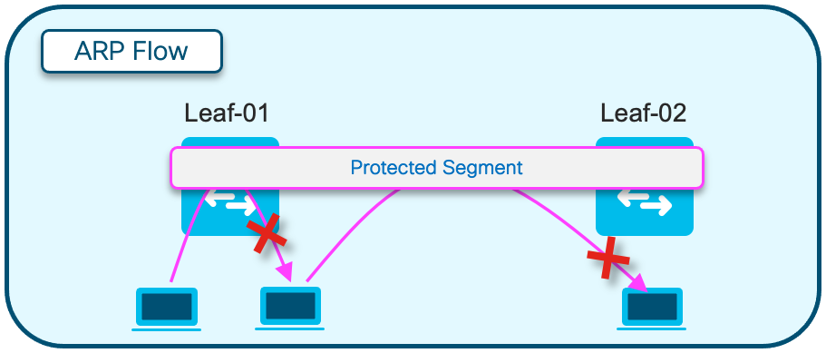 Flux ARP du segment protégé