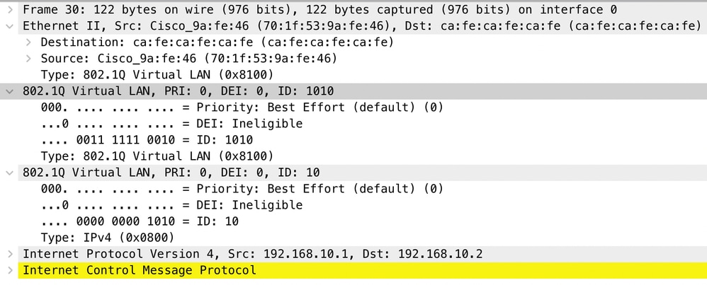 Wireshark Capture Output - Interface Trunk Connected to the Provider Switched Network