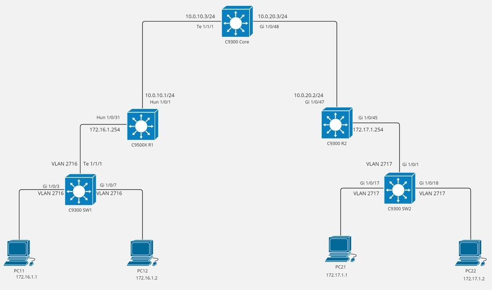 Topologia Multicast