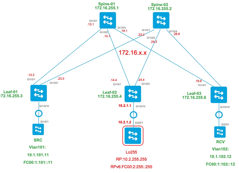 Topologie de fabric externe RP