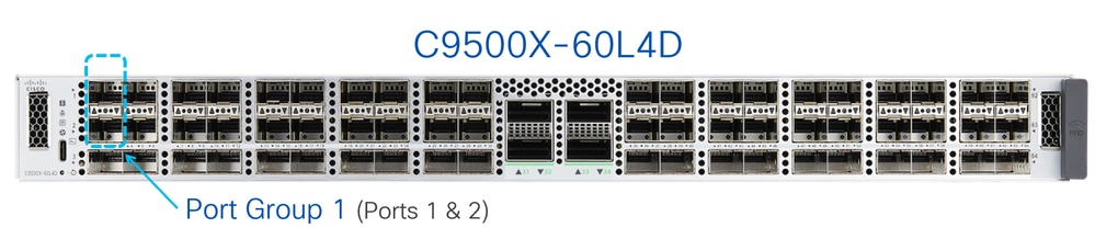 C9500X-60L4D Port Groups