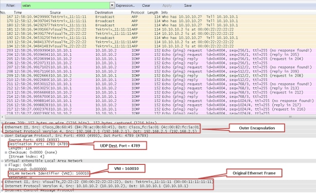 Stampa VXLAN PCAP