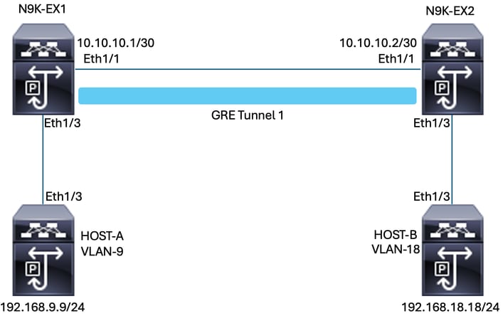 Network Diagram