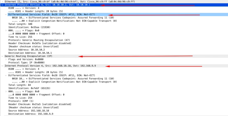 ARP Reply Capture Encapsulated