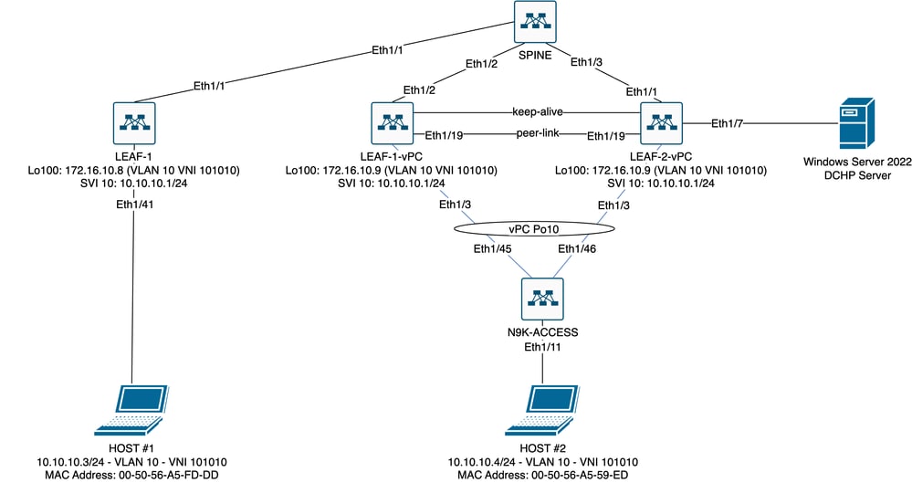 VXLAN Fabric Diagram in laboratorium