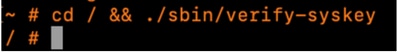 Expressway/VCS no output when running the command cd / && ./sbin/verify-syskey