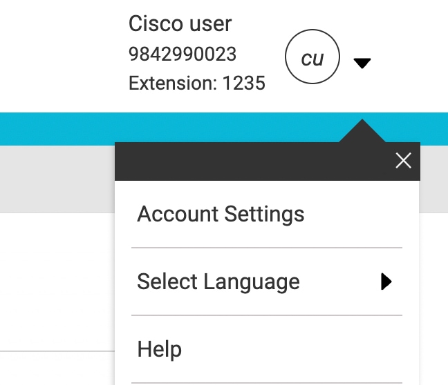 Webex GUI