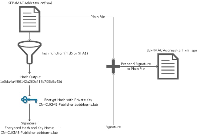 116232-sbd-03