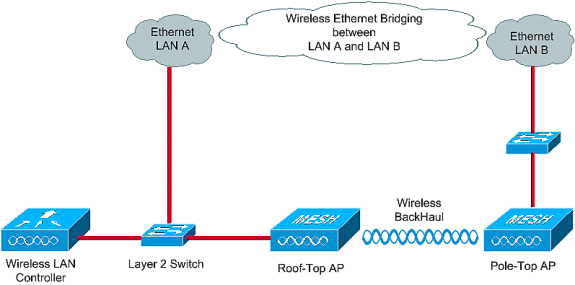 mesh-1.gif