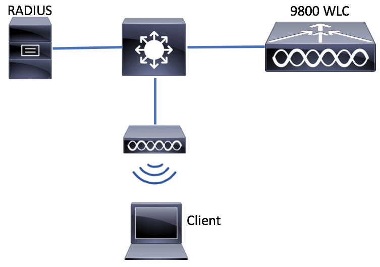 Netzwerkdiagramm