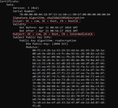 Decoded Intermediate CA