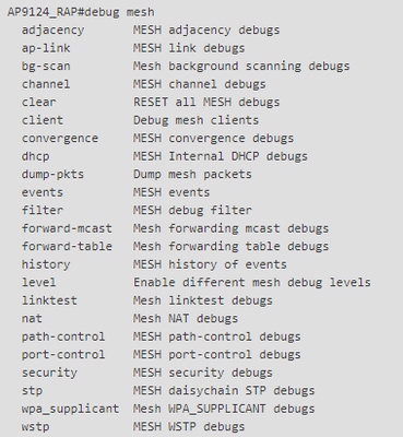 RAP/MAP-Debug-Mesh-Optionen