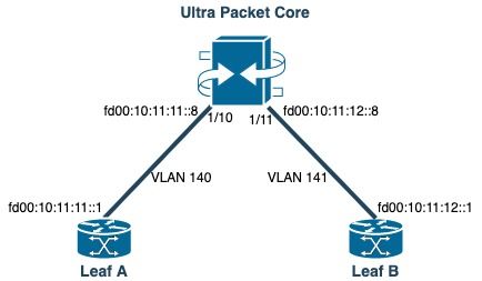 Figure 1: Network Diagram