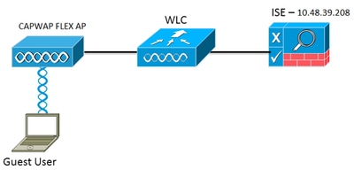 Netzwerk-Setup